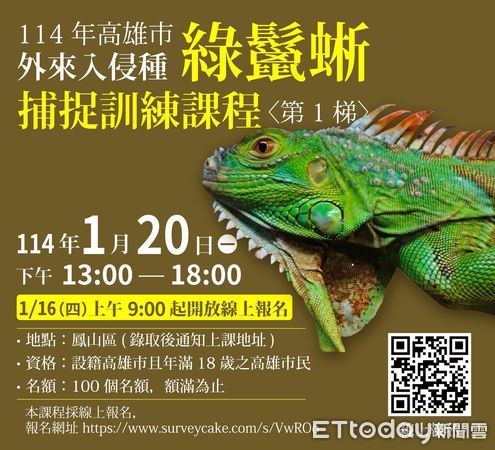 d8044185 ▲▼目標移除2萬4千隻綠鬣蜥!高雄再開獵人訓練班 報名時間曝光。(圖/記者賴文萱翻攝)