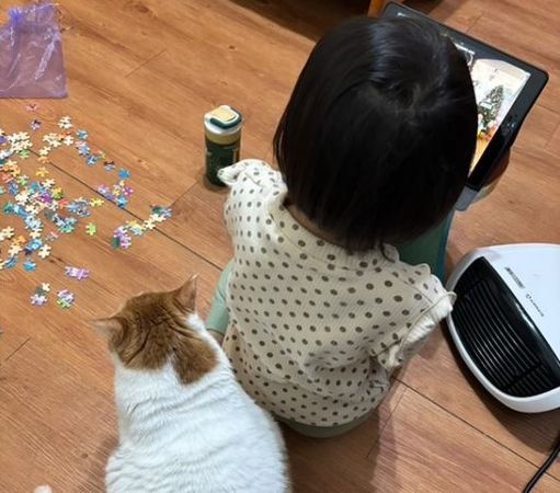 ▲貓發現暖爐不熱秒變「傻眼貓咪」　緊盯開關還轉頭瞪奴才。（圖／妞妞她姐提供，請勿隨意翻拍，以免侵權。）