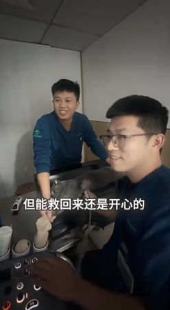 貓咪心臟病飼主不想救。（圖／翻攝自小紅書@福州瑞派諾維動物醫院）