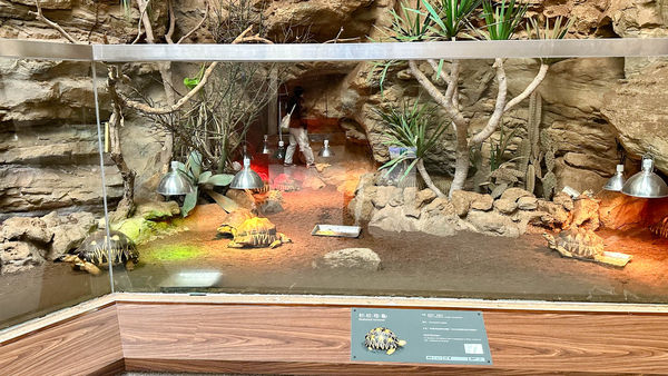 台北市立動物園動物禦寒。（圖／台北市立動物園提供）