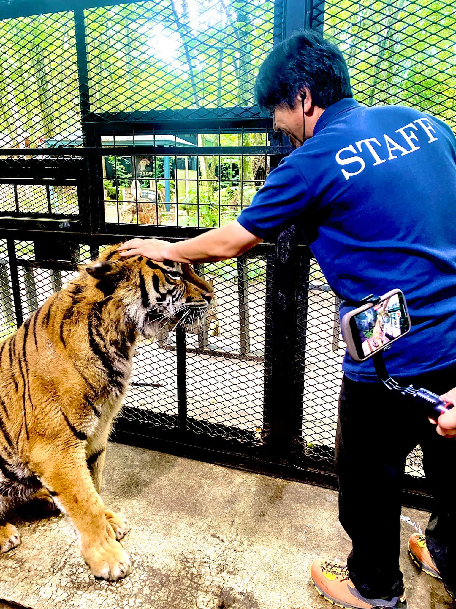 8069095 ▲▼日本最危險動物園!違法開設20年 虐待動物卻無法可管。(圖/ノースサファリサッポロ)