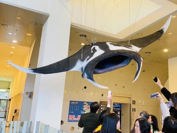 ▲（圖／翻攝自Facebook／國立海洋科技博物館、臺灣魚類資料庫）