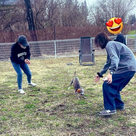 日本栃木縣那須「癒され亭」動物園禁止男性遊客獨自入園，須有親友陪同才能入場。（翻攝自X@nasufureai）