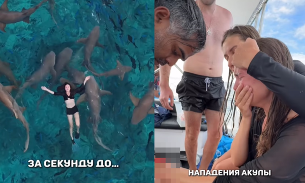 d8075709-1 和危險鯊魚群浮潛拍人生美照 女網紅慘被攻擊「鮮血狂流」崩潰。(圖/翻攝自Instagram/vitonova_)