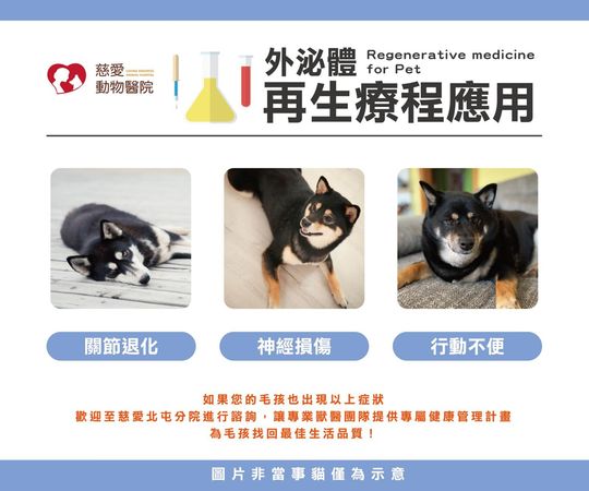 外泌體。（圖／慈愛動物醫院提供）