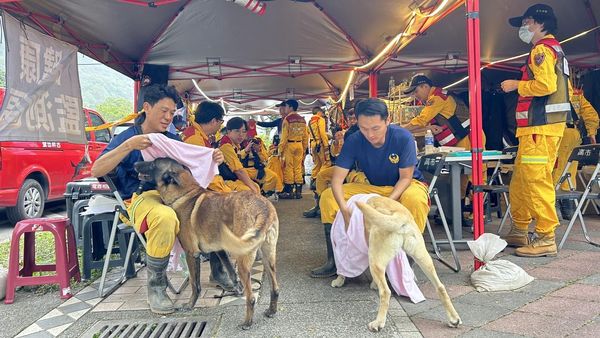 搜救犬鞋子。（圖／翻攝自粉專「搜救犬「羅傑計劃」」）