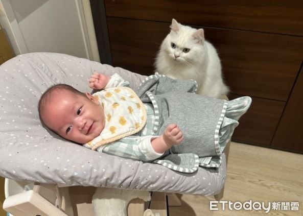 d8096976 ▲保姆汪舔頭哄大哭嬰 貓皇路過接手洗狗變「舔舔接龍」。(圖/網友vvn提供,請勿隨意翻拍,以免侵權。)