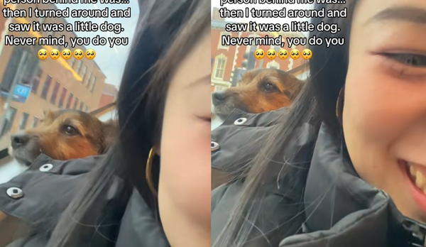 d8104838-1 搭公車後座貼太近 女暴怒回頭看到「毛毛乘客」秒消氣:請繼續。(圖/翻攝自TikTok/eloisecuteeee)