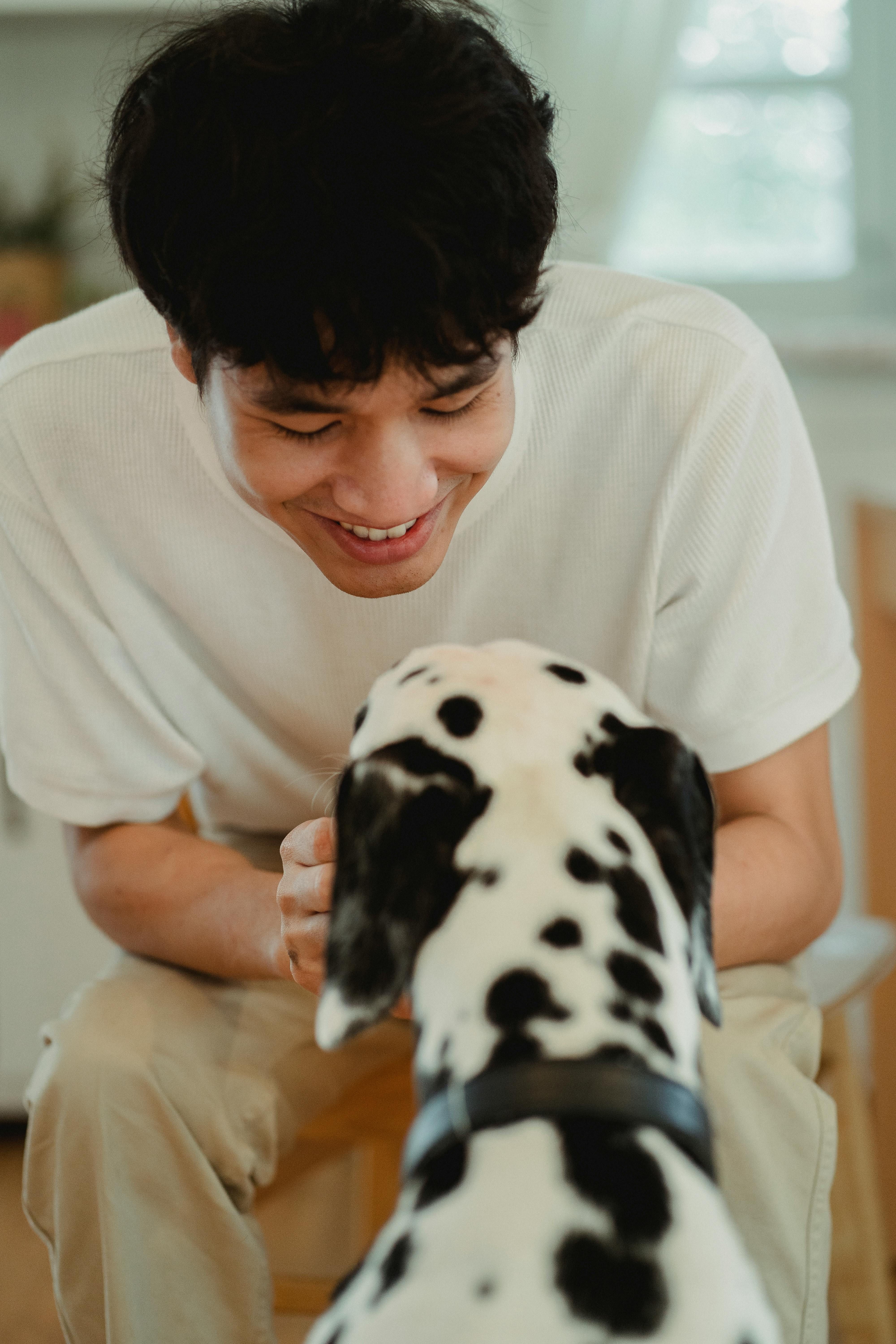 ▲▼狗狗,嬰兒語,服務犬,研究,眼神,Baby Talk,忠誠度。（圖／Pexels）