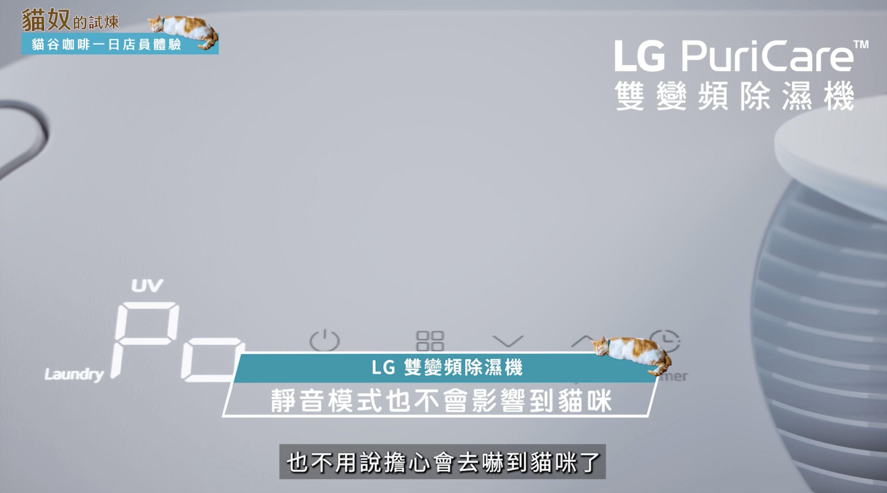 ▲▼貓奴,毛小孩,劉書宏,新店,貓谷,LG,空氣清淨機,吸塵器,集塵壓縮,變頻,除濕機。（圖／翻攝自影片）