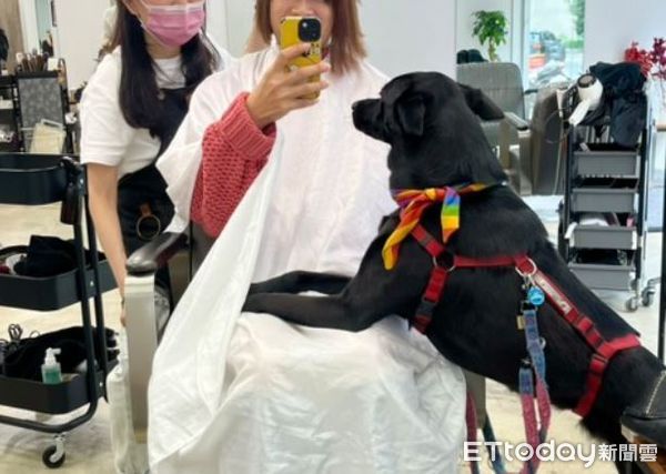 d8120216 ▲超乖歐告聽姐姐說「等喔」 整隻定格當展示台定力超強。(圖/踢踢姐姐提供,請勿隨意翻拍,以免侵權。)