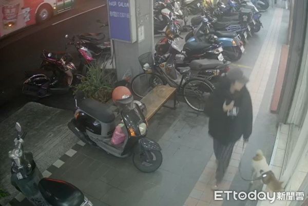 d8122707-1 貓咪攻擊狗。(圖/新北市動保處提供)