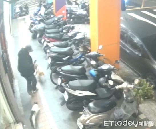 d8122708-1 貓咪攻擊狗。(圖/新北市動保處提供)
