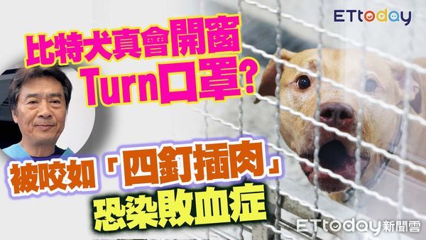 d8131638 ▲獸醫師楊靜宇說明比特犬攻擊騎士事件。(圖/合成圖)