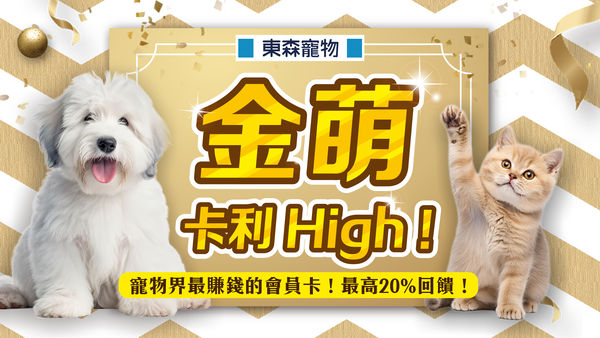 加菲貓聯名。（圖／東森寵物提供）