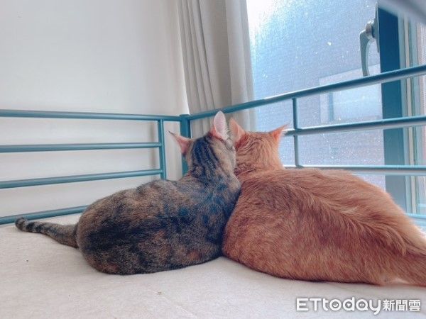d8138242-1 ▲(圖/網友@59._.katelyn提供,請勿隨意翻拍,以免侵權。)