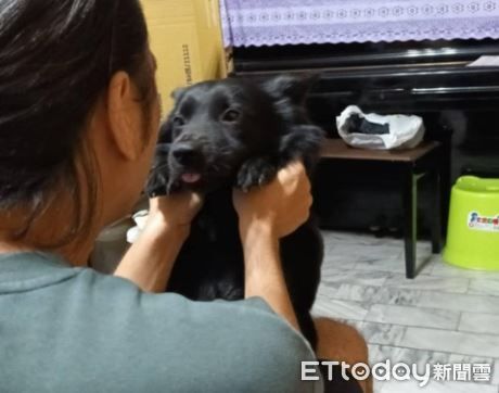 ▲精明歐告「要先付點心」才出門！　從一塊肉肉漲價變兩塊。（圖／臉書Boa Kuo提供，請勿隨意翻拍，以免侵權。）