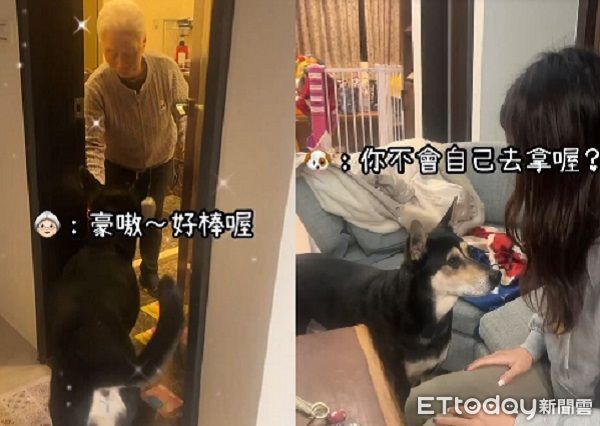 ▲黑汪幫阿嬤「支援衛生紙」　換姐要就無視：不會自己拿？。（圖／有點毛毛的／Ti Nou Tsai提供）