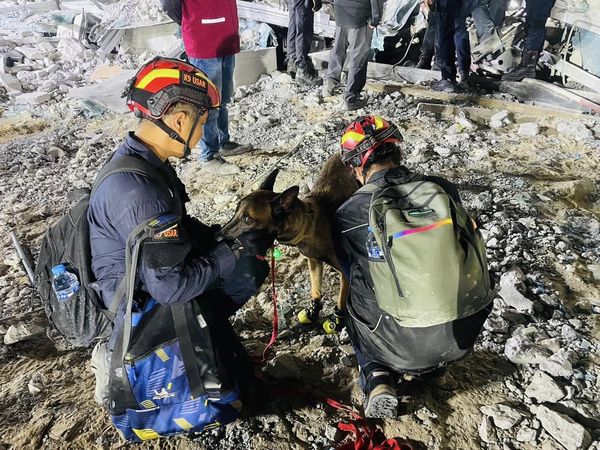 泰國搜救犬隊。（圖／翻攝自K9 USAR THAILAND臉書）