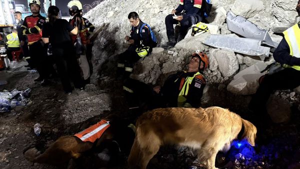泰國搜救犬隊。（圖／翻攝自K9 USAR THAILAND臉書）