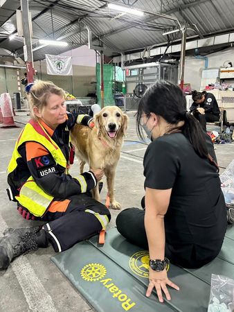 搜救犬看獸醫好緊張。（圖／翻攝自臉書＠K9 USAR THAILAND）