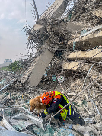 泰國搜救犬隊。（圖／翻攝自K9 USAR THAILAND臉書）