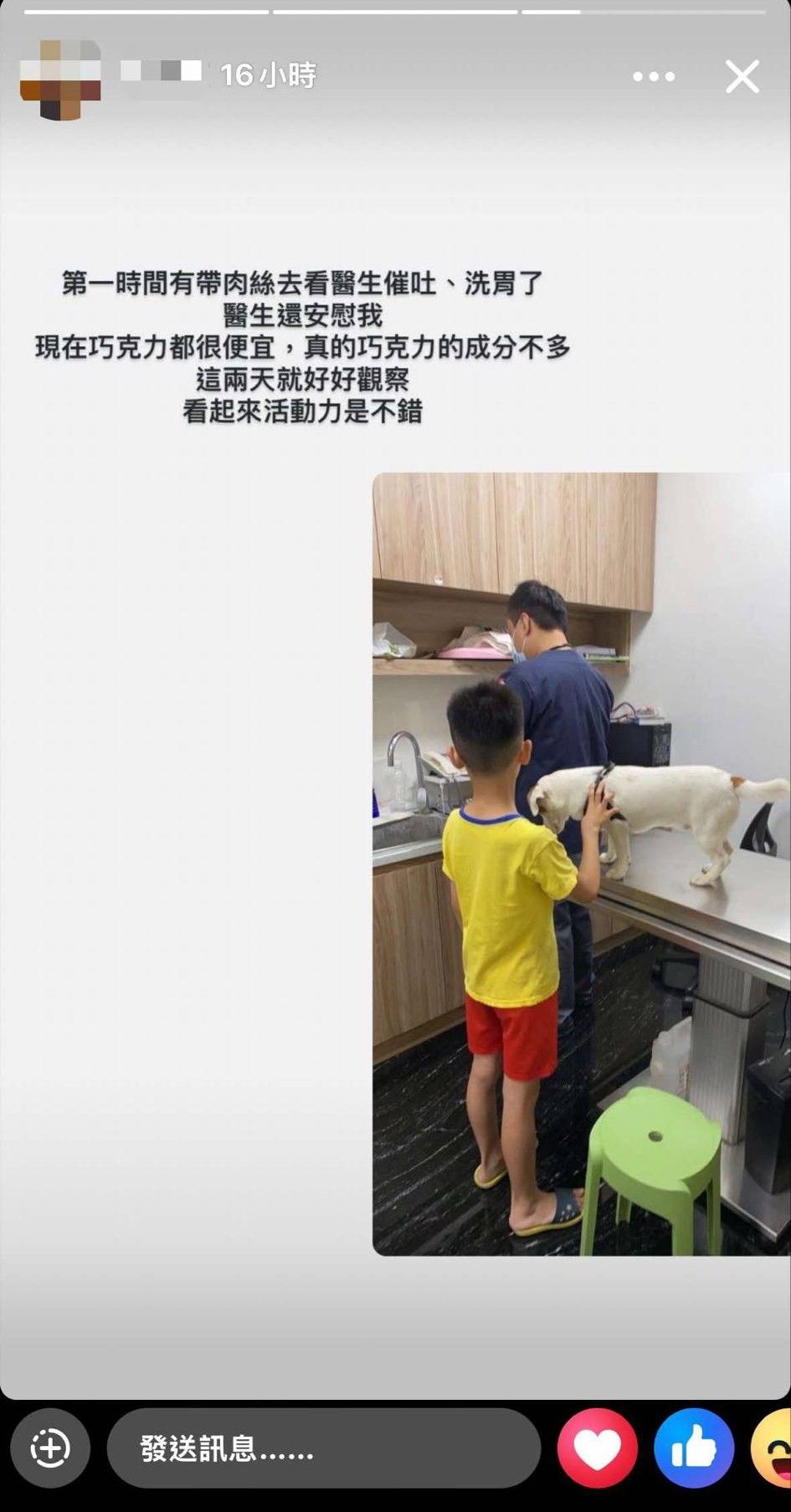 ▲高雄阿伯公園亂餵狗吃巧克力，飼主公開發文指控。（圖／翻攝自臉書）