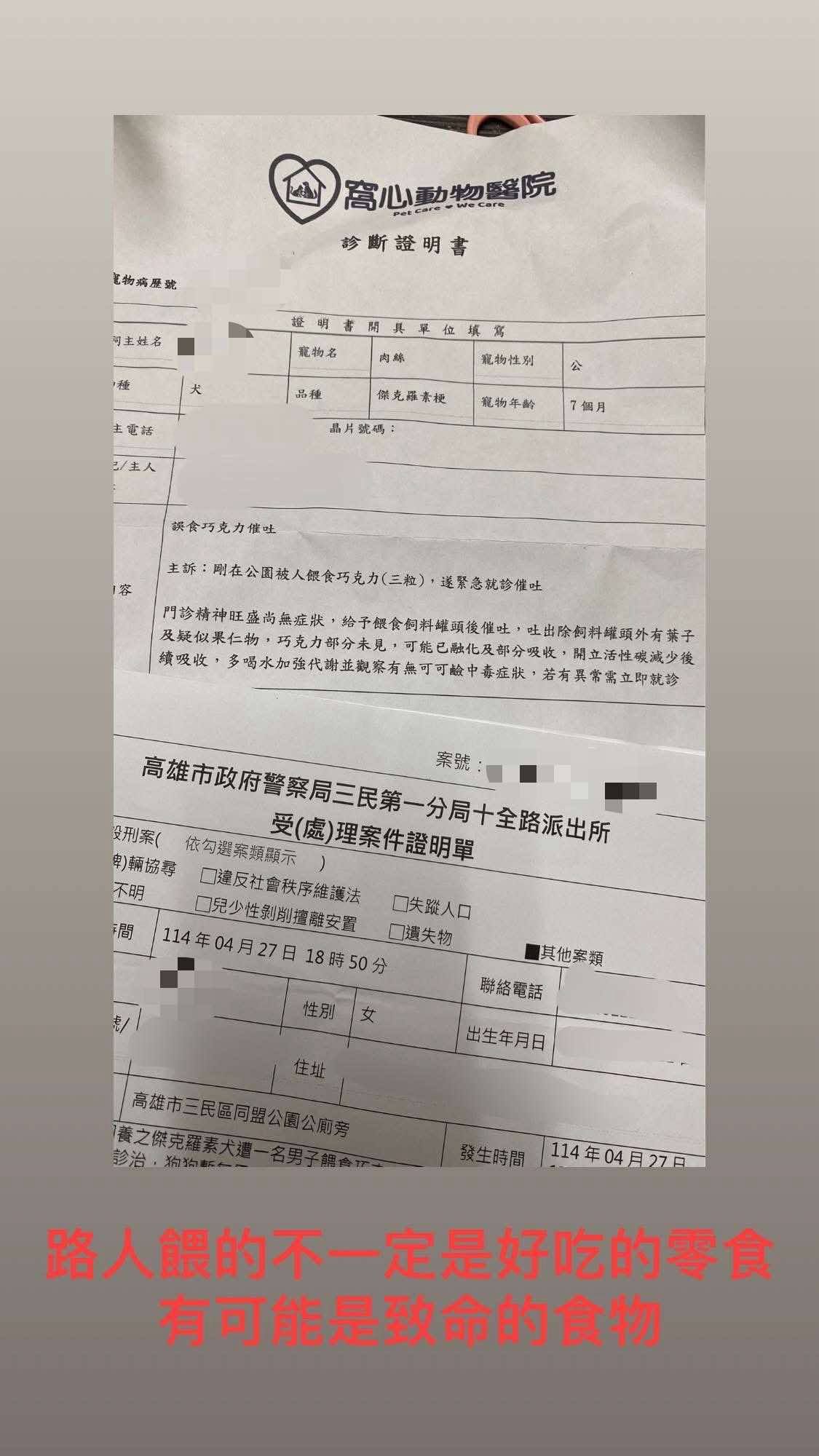 ▲高雄阿伯公園亂餵狗吃巧克力，飼主公開發文指控。（圖／翻攝自臉書）