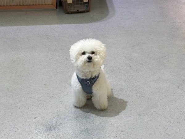 ▲（圖／網友IG@tony_1024_提供，請勿隨意翻拍，以免侵權。）