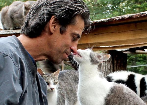 快樂貓庇護所火災。（圖／翻攝自臉書@Happy Cat Sanctuary 、@Strong Island Animal Rescue League）