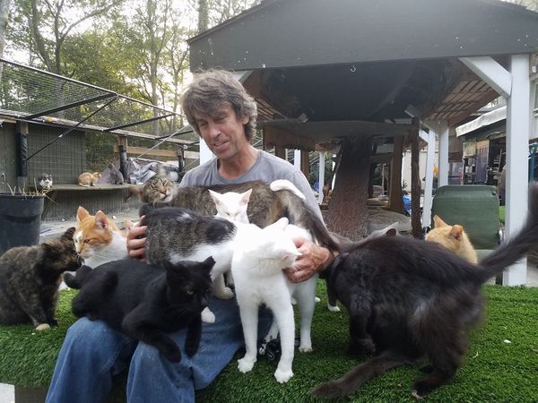 快樂貓庇護所火災。（圖／翻攝自臉書@Happy Cat Sanctuary 、@Strong Island Animal Rescue League）