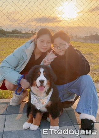 ▲怎麼了？飼主追劇暴哭　貼心博恩山犬「舔手撒嬌」安慰媽媽。（圖／Threads@@mi55bobbi提供，請勿隨意翻拍，以免侵權。）