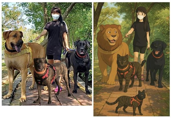 巨嬰可可與牛頭妞兒。（圖／有點毛毛的／巨嬰可可與牛頭妞兒 2.0投稿）