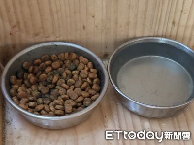 ▲侯硐貓公所遭批「飼料發霉」環境髒亂　廠商發文澄清擬提告。（圖／網友提供，請勿隨意翻拍，以免侵權。）