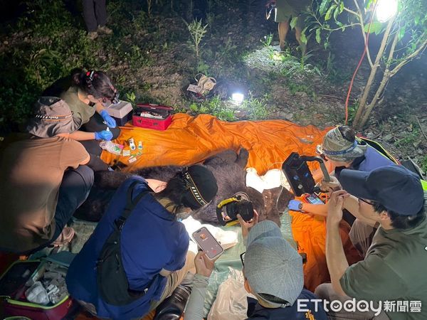 ▲▼黑熊擊殺雞隻以及家犬，相關單位開槍擊斃黑熊。（圖／記者王兆麟翻攝）