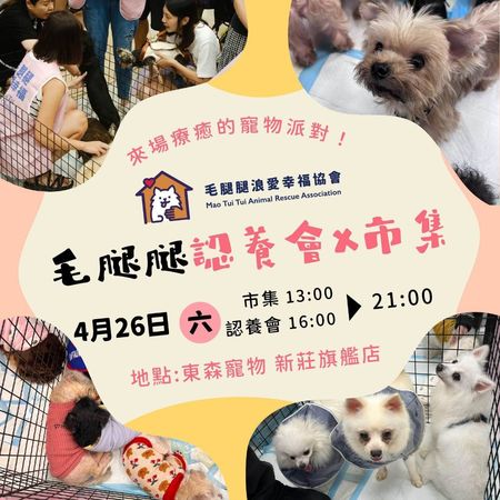東森寵物送養會。（圖／東森寵物提供）