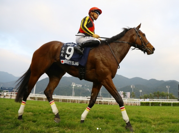 賽馬自由島因傷安樂死。（圖／翻攝自香港賽馬會、IG@yuga.kawada_official）