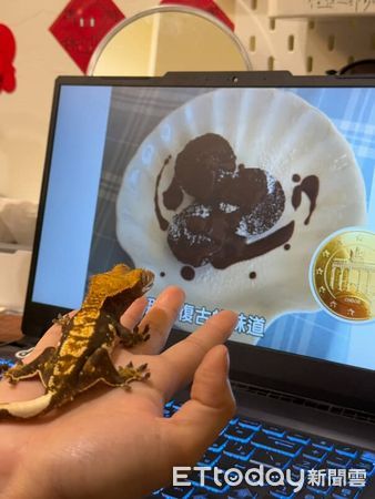 ▲守宮用智慧手錶量心跳　迷你小手「自己抱好」超級天使。（圖／Threads@oooweeecow提供）