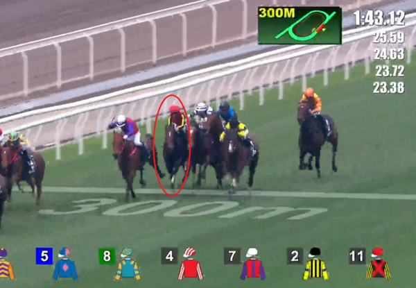 賽馬自由島因傷安樂死。（圖／翻攝自香港賽馬會、IG@yuga.kawada_official）