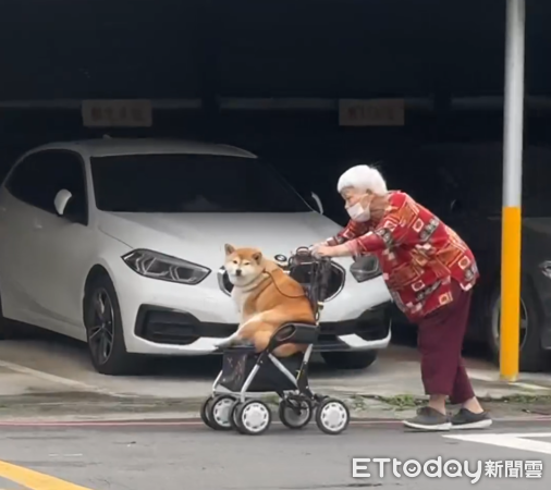 阿嬤推胖柴。（圖／Threads@@liyux_1201提供）