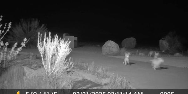 ▲▼             。（圖／翻攝自臉書）