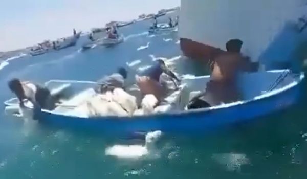 數千隻羊在大海中載浮載沉。（翻攝 Israel Against Live Shipments粉絲專頁）