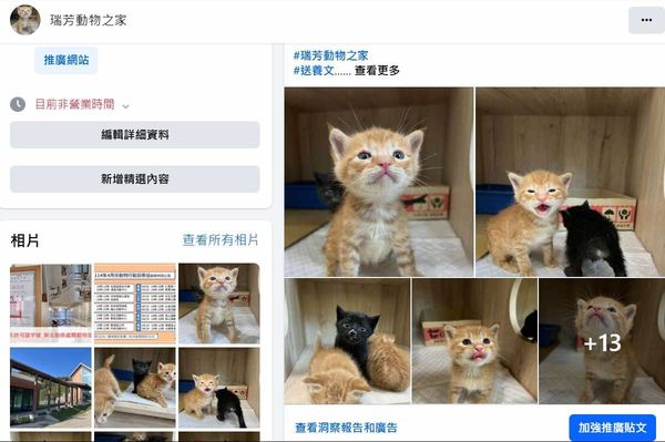 高雄民眾特別到瑞芳領養狗。（圖／新北市動保處提供）