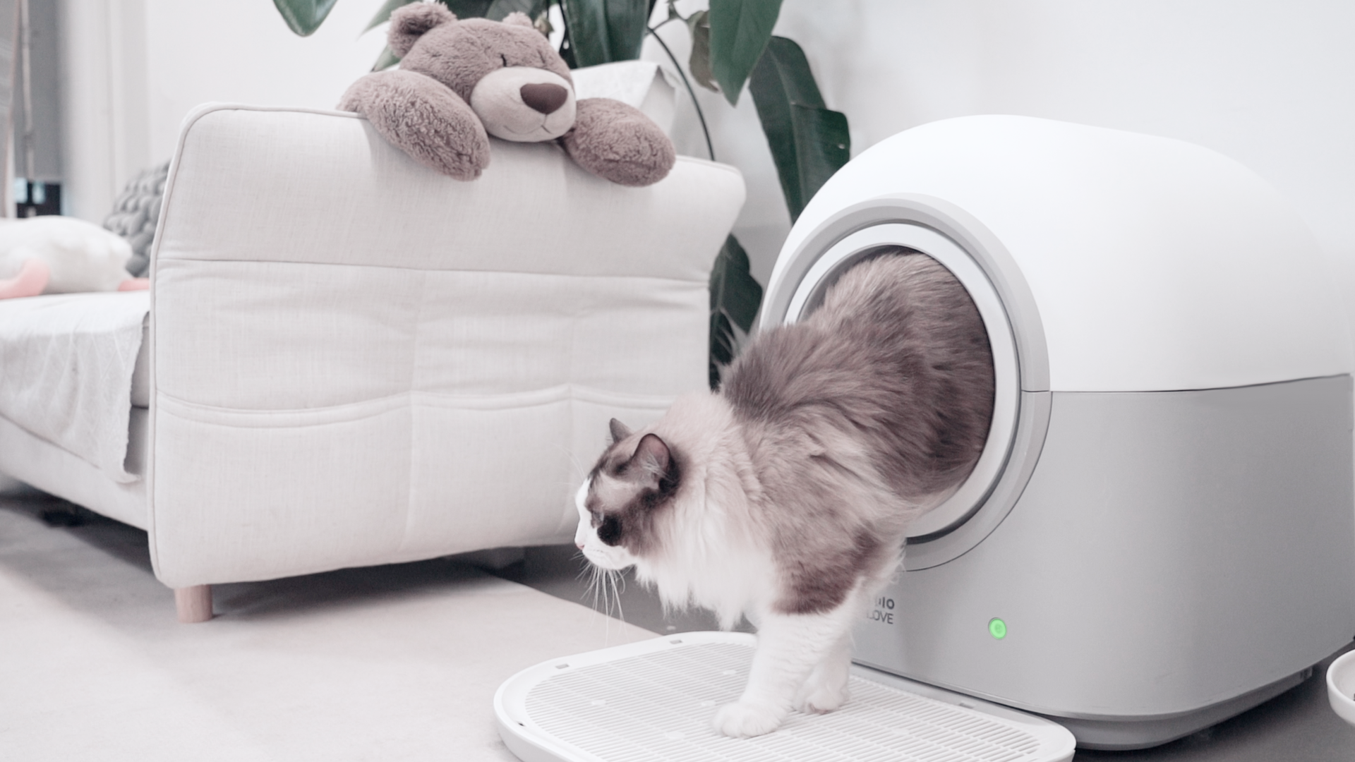 8196047 ▲▼多貓家庭,貓砂,鏟屎,貓砂機,不動鏟,排便,智慧家電,HHOLOVE,台北三創。(圖/業者提供)
