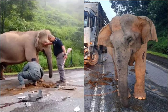 ▲▼             。（圖／翻攝自中國報）