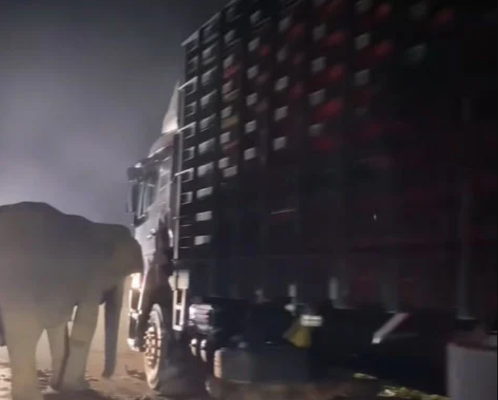 ▲▼             。（圖／翻攝自中國報）