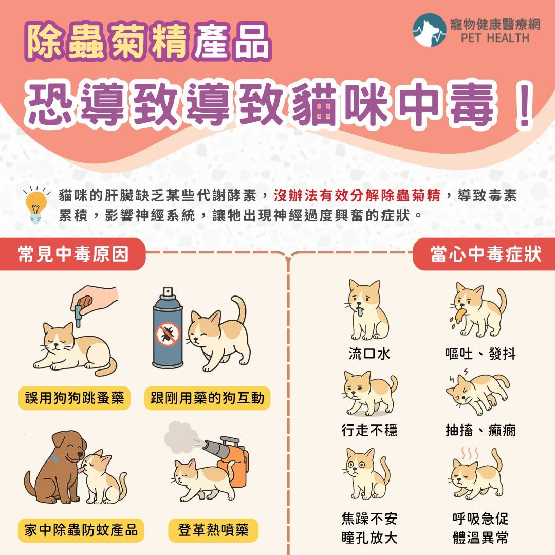 ▲（圖／寵物健康醫療網PetHealth提供，請勿隨意翻拍，以免侵權。）