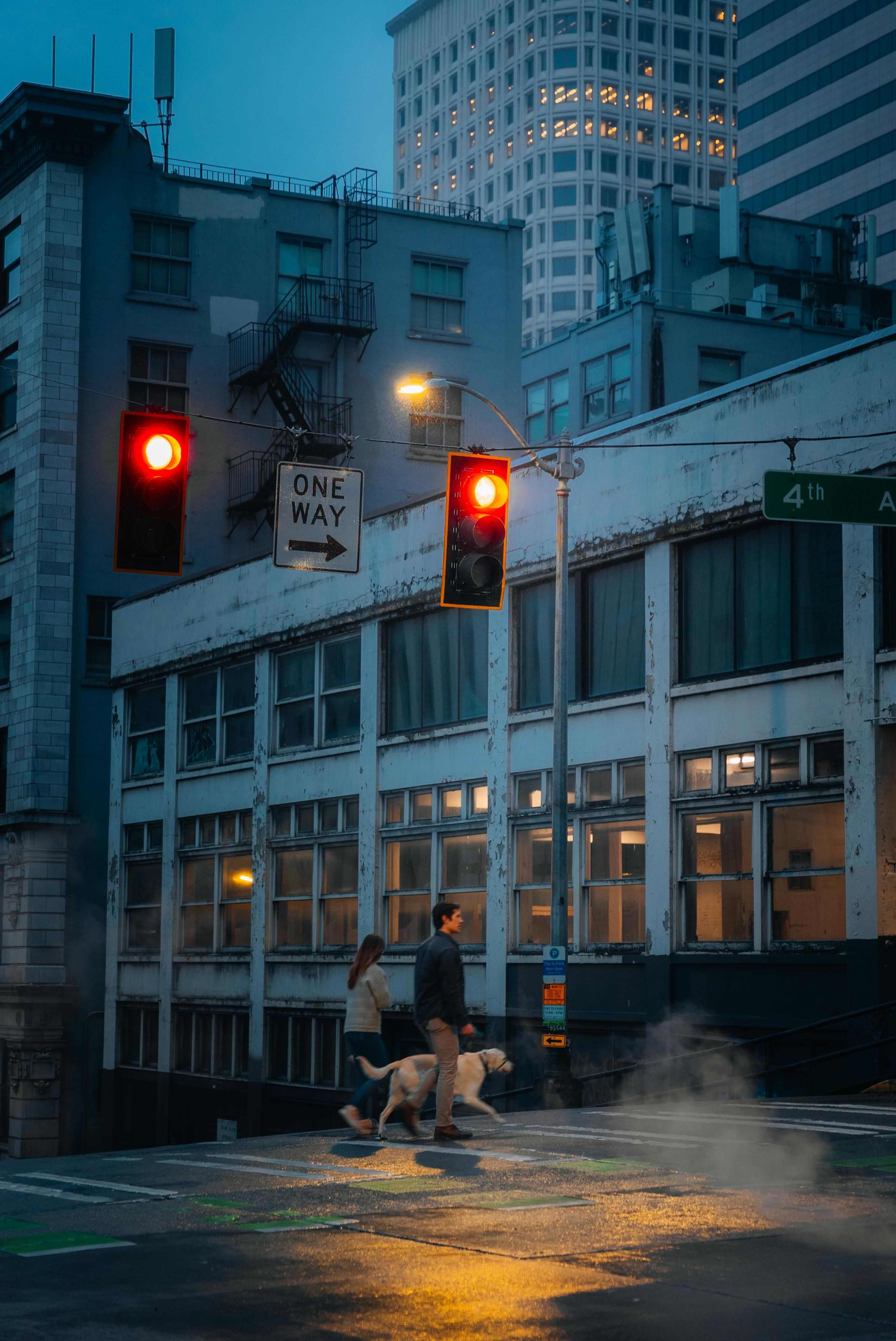 8223170 ▲▼離婚,寵物,監護權,法律,家庭,毛小孩 。(圖/Pexels)