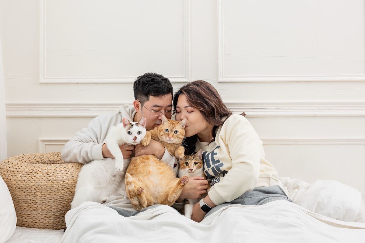 ▲奴才捐血被告知「不能搬重物」　抱自家大肚橘貓：7.7公斤算嗎？（圖／網友＠wen_chih_chin提供，請勿隨意翻拍，以免侵權。）