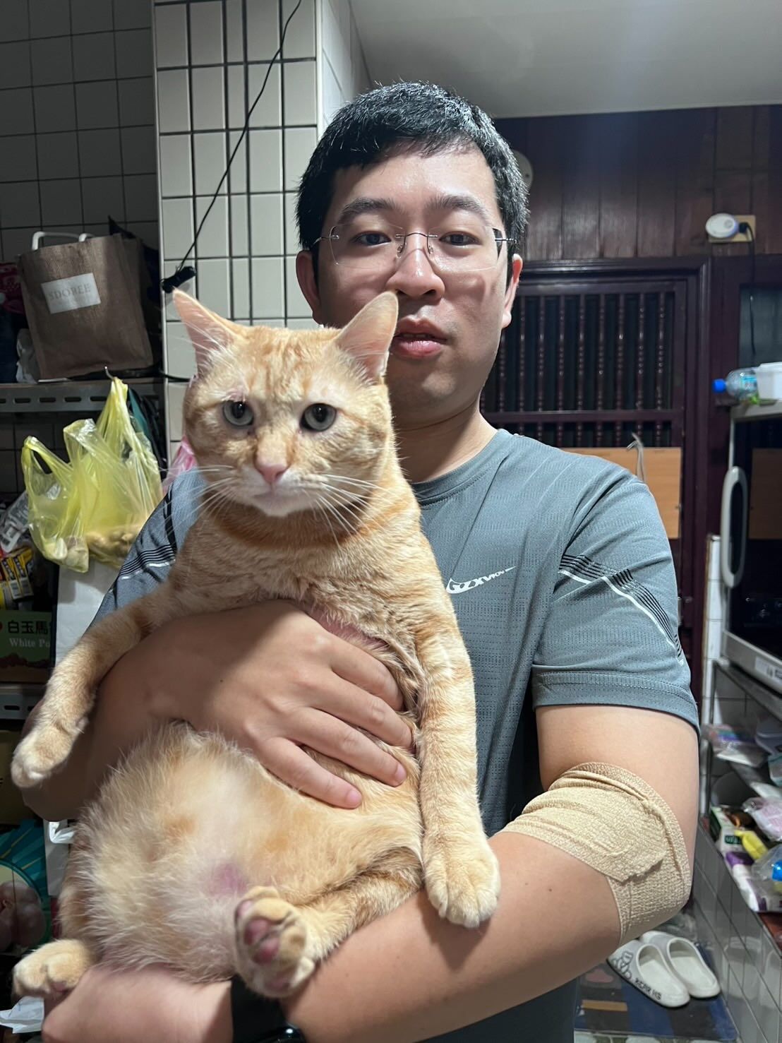 ▲奴才捐血被告知「不能搬重物」　抱自家大肚橘貓：7.7公斤算嗎？（圖／網友＠wen_chih_chin提供，請勿隨意翻拍，以免侵權。）